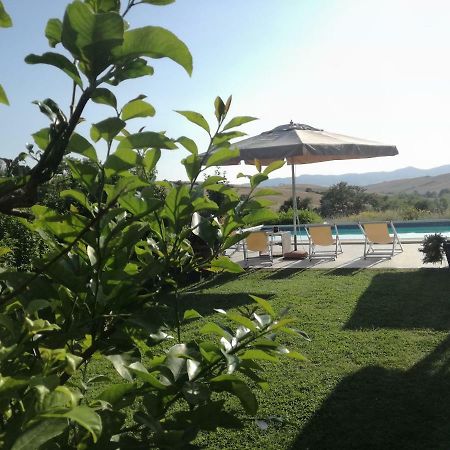Agriturismo Podere Il Fornacino Santa Luce Ngoại thất bức ảnh