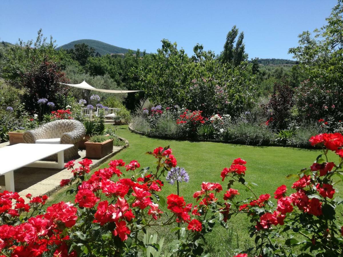 Agriturismo Podere Il Fornacino Santa Luce Ngoại thất bức ảnh