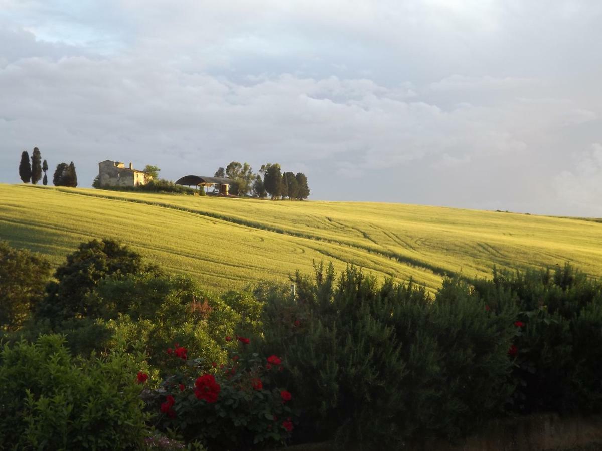 Agriturismo Podere Il Fornacino Santa Luce Ngoại thất bức ảnh